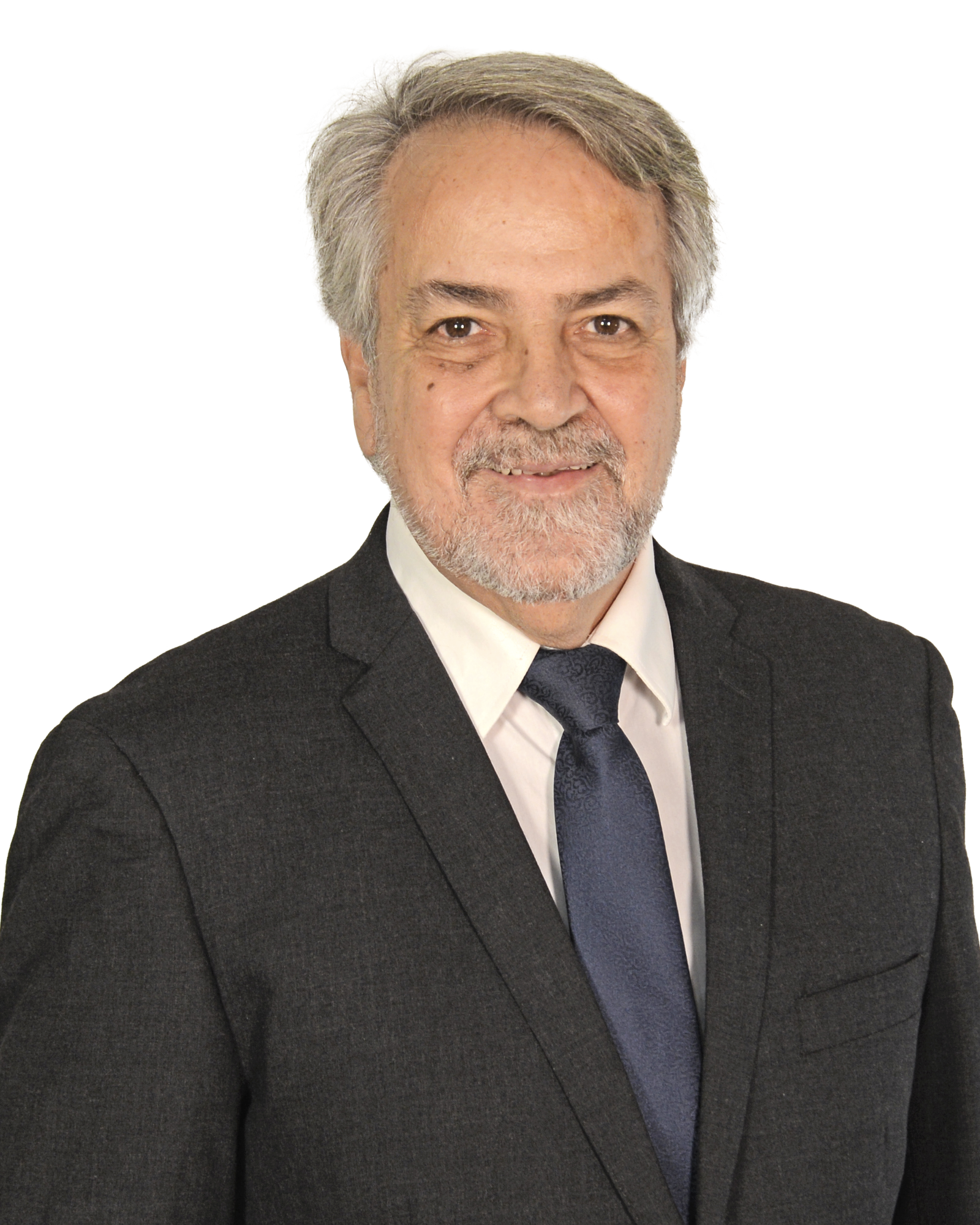 Fernando  Gonçalves